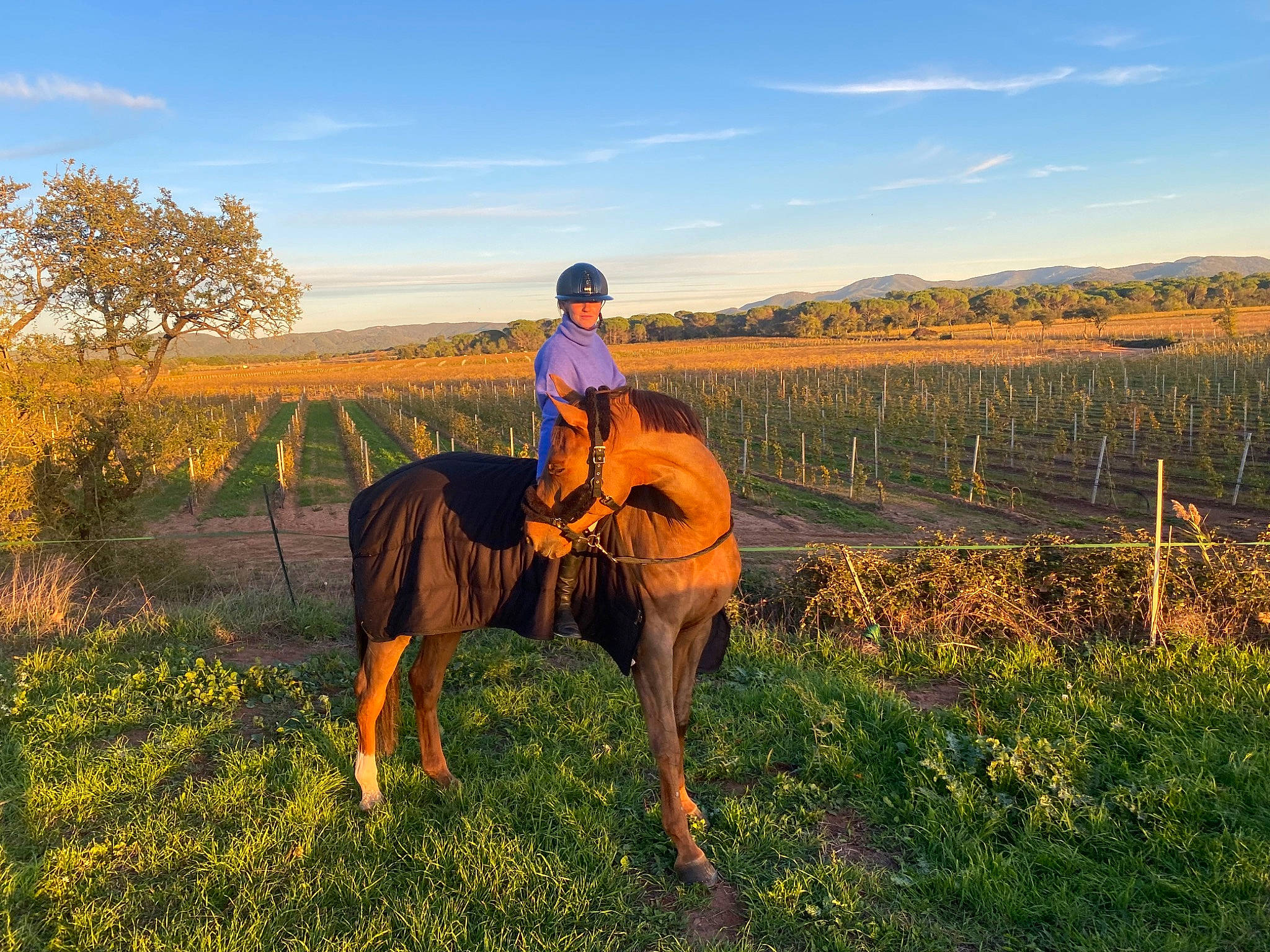 Ginette a rejoint le concours — aidez-le/la à gagner de superbes lots ! bridle, cloud, equestrianism, grass, grassland, horse, horse_supplies, horse_tack, landscape, meadow, natural_landscape, people_in_nature, plain, plant, rein, saddle, sky, sorrel, tree, working_animal