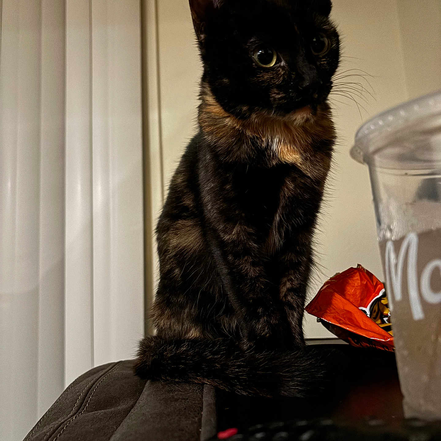 Nori