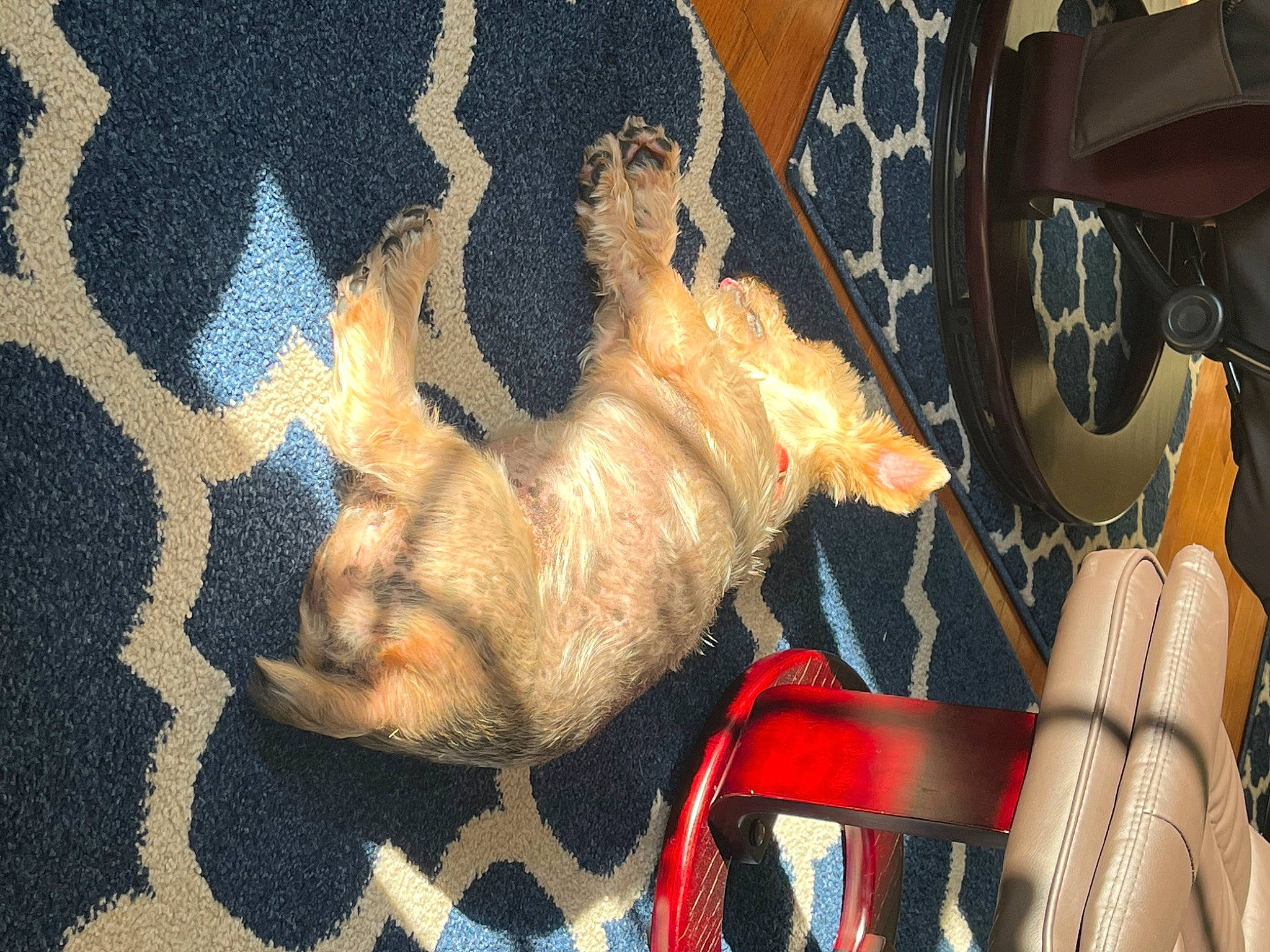 Mickey joined the competition — help win amazing prizes! acrylic_paint, art, artist, beard, cg_artwork, drawing, fictional_character, font, graffiti, graphic_design, graphics, illustration, modern_art, mural, paint, painting, pattern, space, street_art, visual_arts