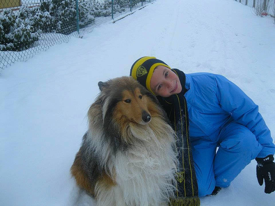 Etan a rejoint le concours — aidez-le/la à gagner de superbes lots ! canidae, carnivore, collie, companion_dog, dog, dog_breed, mammal, rough_collie, scotch_collie, shetland_sheepdog, smooth_collie, snow, vertebrate, winter