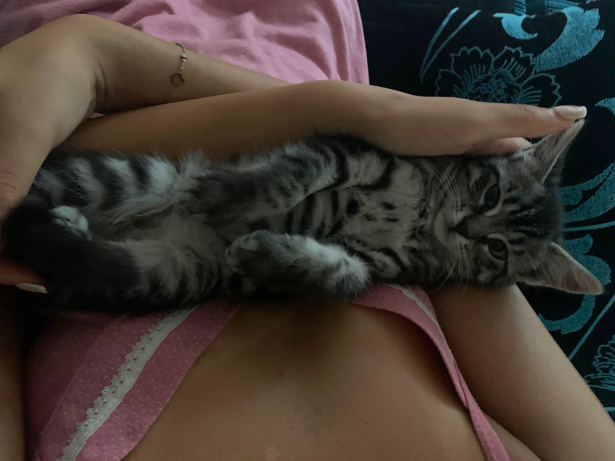 Ketty a rejoint le concours — aidez-le/la à gagner de superbes lots ! barefoot, bed, carnivore, cat, comfort, elbow, fawn, felidae, foot, human_leg, knee, lap, leg, linens, nail, small_to_medium_sized_cats, tail, thigh, trunk, whiskers