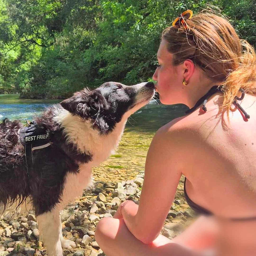 Bailey participe au concours pour gagner de l'argent avec cette photo : dog, person, river, rocks, nature, outdoor, water, trees, sunlight, black_and_white, summer, sitting, pet, animal, friendship, love, leisure, casual, bare_shoulders, bond