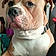 Tyson