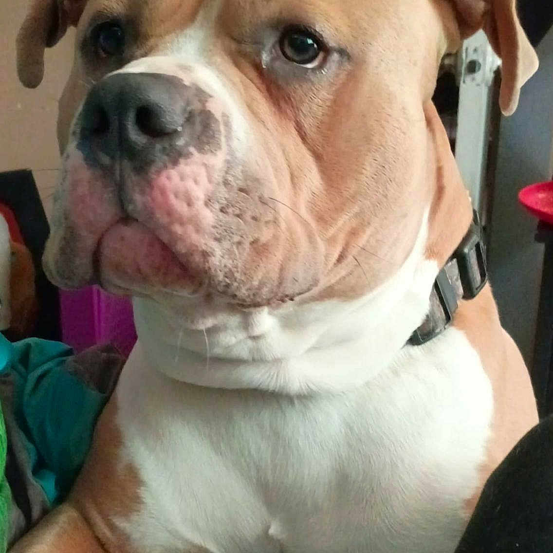Tyson