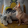Puppy is registered to the contest to win money with this photo: dog, puppy, chihuahua, plush_toy, stuffed_animal, pineapple, hat, pet, sitting, indoors, chair, cushion, yellow, brown, portrait, companion, toy, patterned_fabric, home_decor, funny_scene