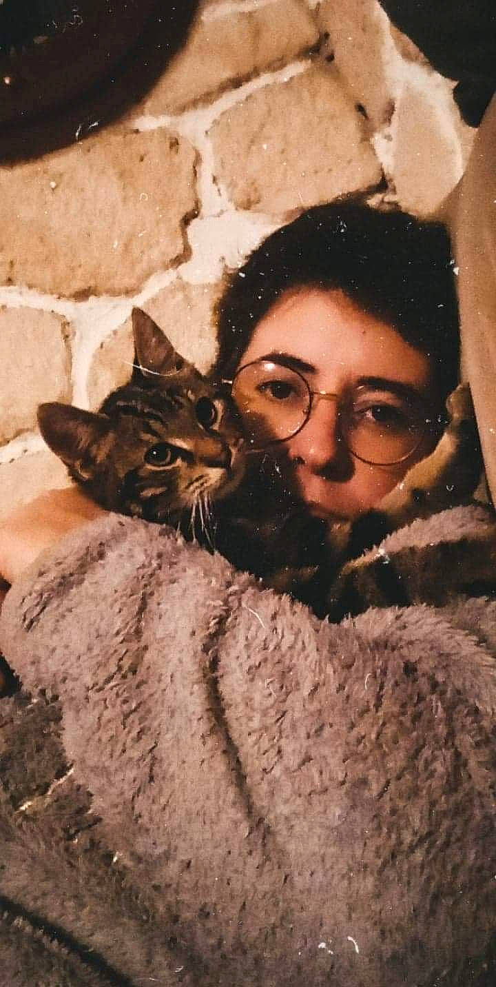 Gabin participe au concours pour gagner de l'argent avec cette photo : asian, carnivore, cat, domestic_short_haired_cat, fawn, felidae, moustache, small_to_medium_sized_cats, whiskers