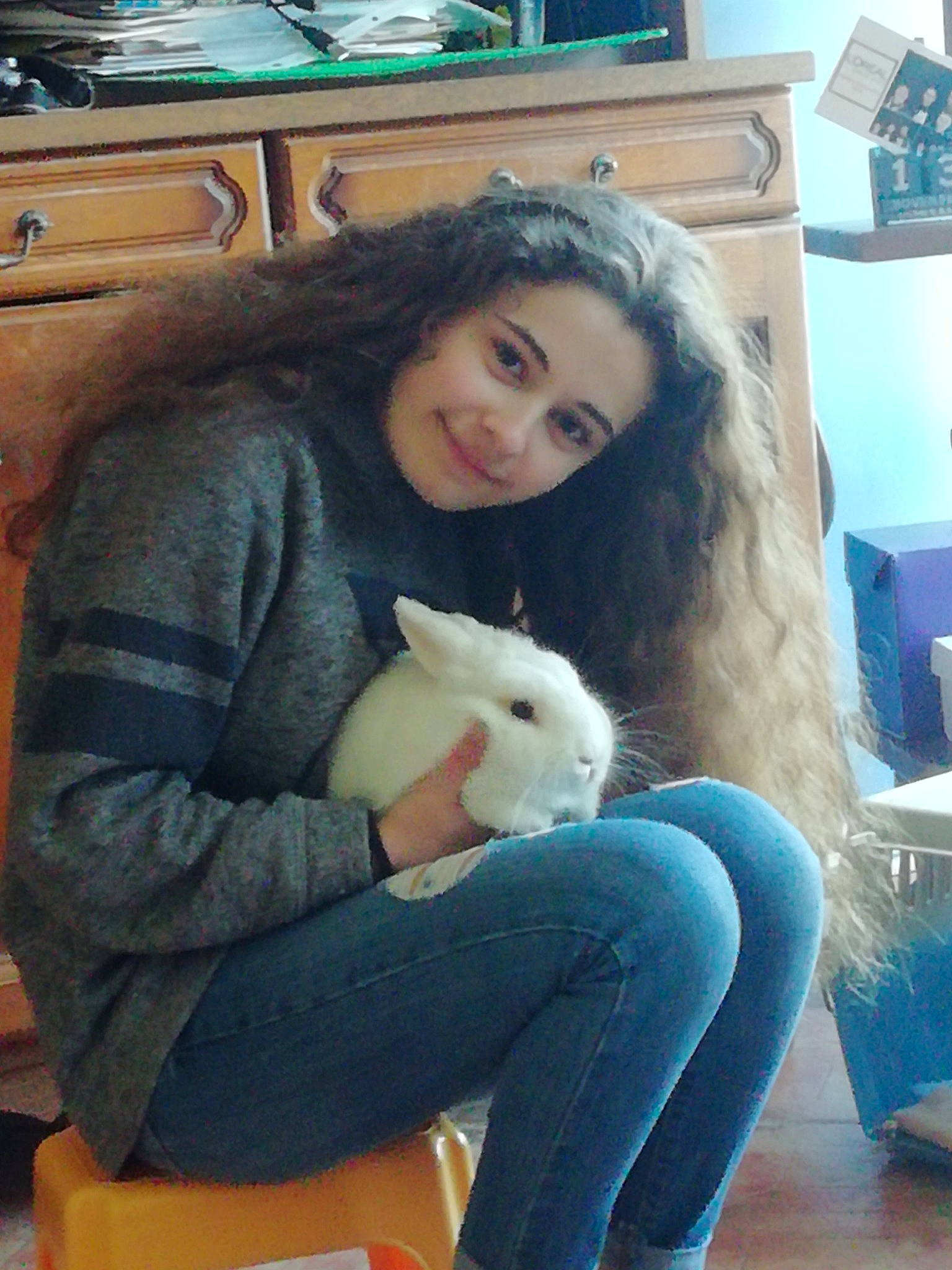 Diego participe au concours pour gagner de l'argent avec cette photo : fawn, long_hair