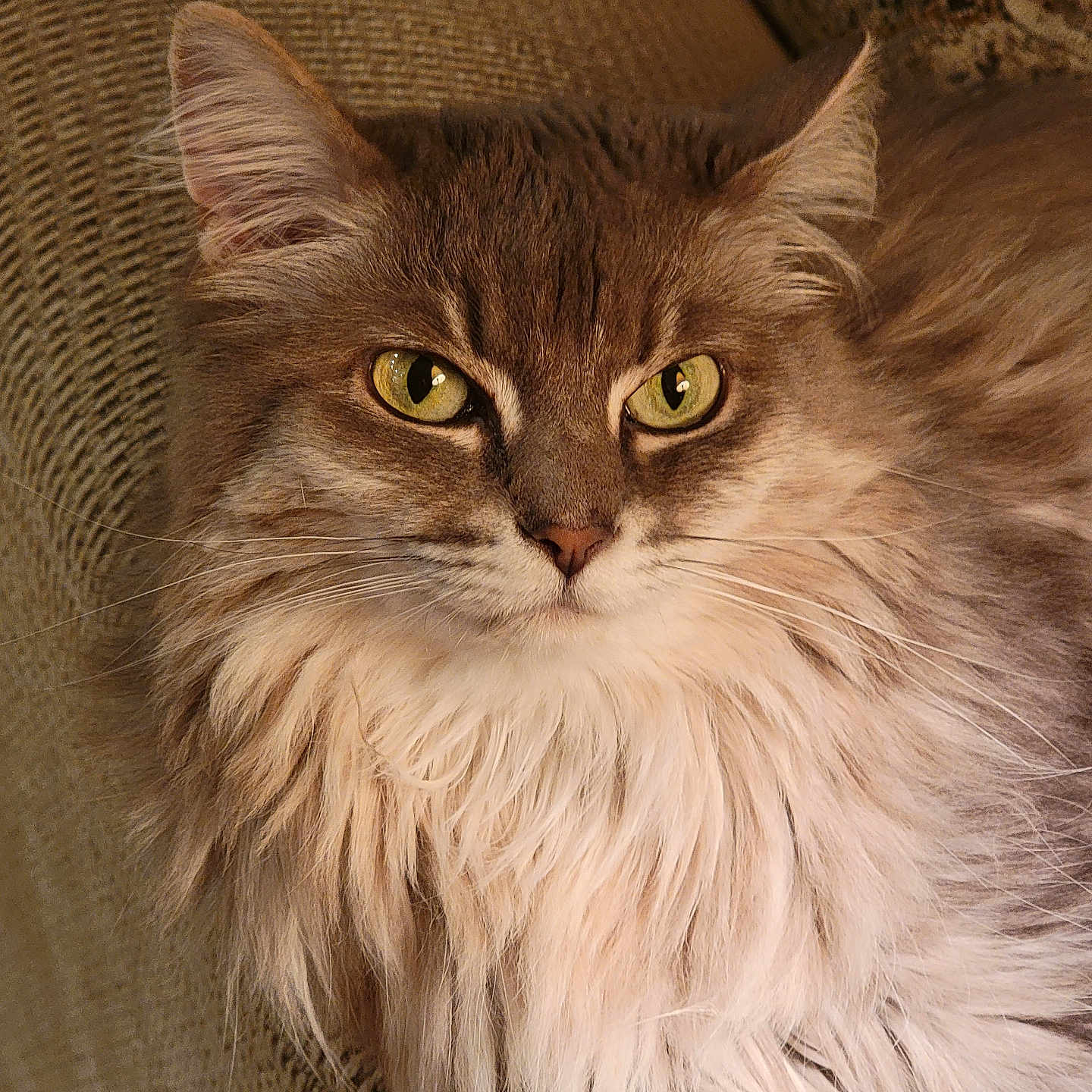 Sophie Belle