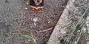 NALLA participe au concours pour gagner de l'argent avec cette photo :