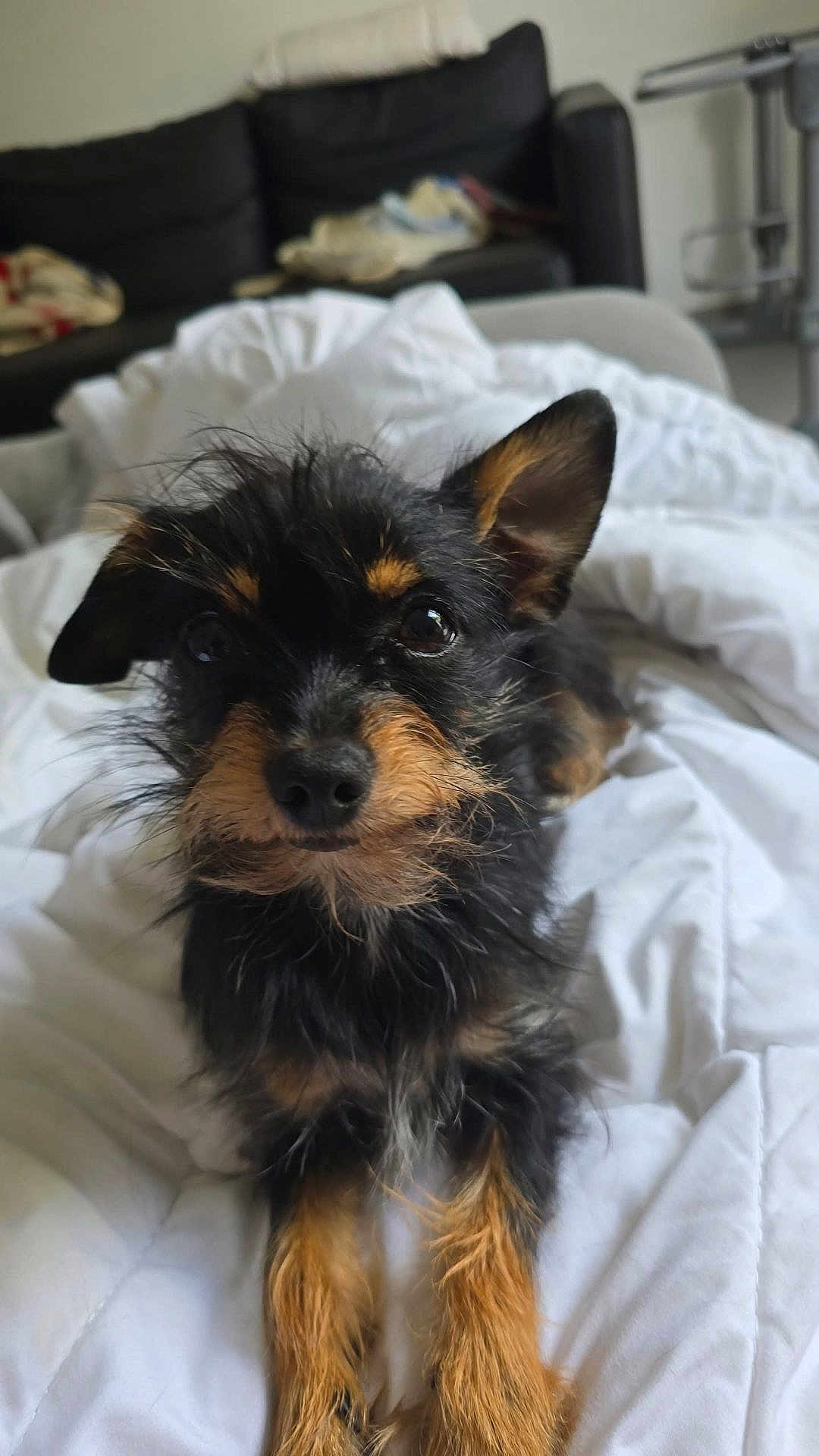 Nina