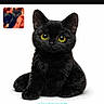 adorable, animal, animal_face, black_cat, cute, domestic_cat, feline, fur, isolated, kitten, looking, pet, portrait, sitting, small_inset_photo, web_text, whiskers, white_background, yellow_eyes, young