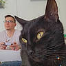 black_cat, cat, yellow_eyes, close_up, man, glasses, video_game_controller, playing, indoor, plants, shelf, white_wall, casual_clothing, focus, relaxing, feline, home, furniture, decor, leisure