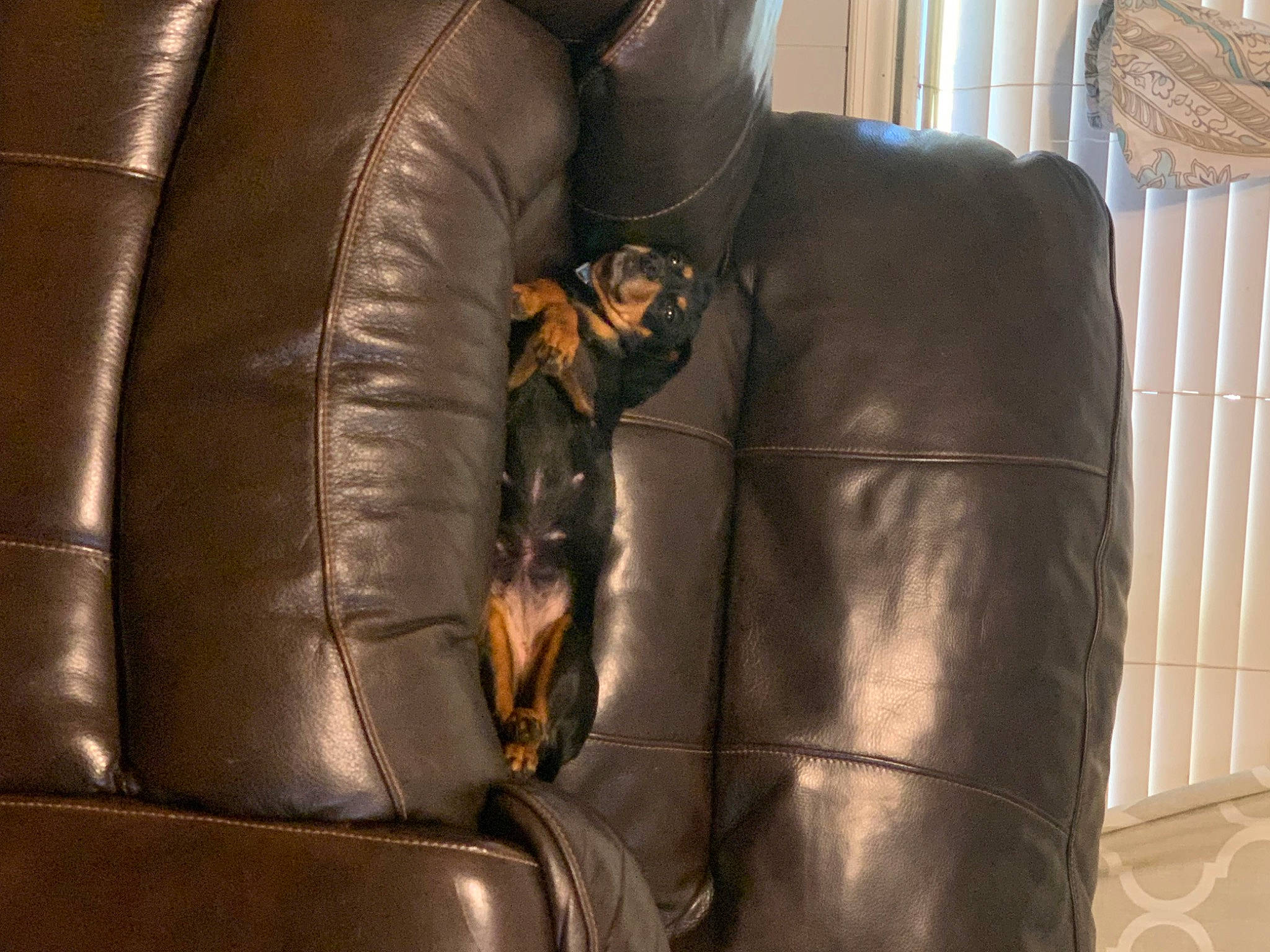 Macey Mae is registered to the contest to win money with this photo: armrest, auto_part, automotive_design, automotive_tire, car_seat, car_seat_cover, chair, comfort, fashion_accessory, formal_wear, jacket, leather, leather_jacket, luxury_vehicle, metal, motor_vehicle, sleeve, textile, window, wood