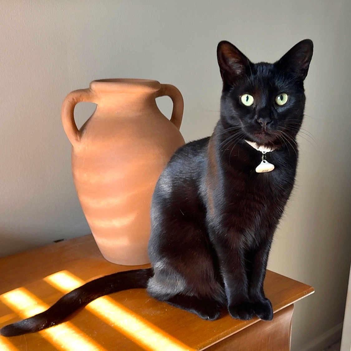 Nova