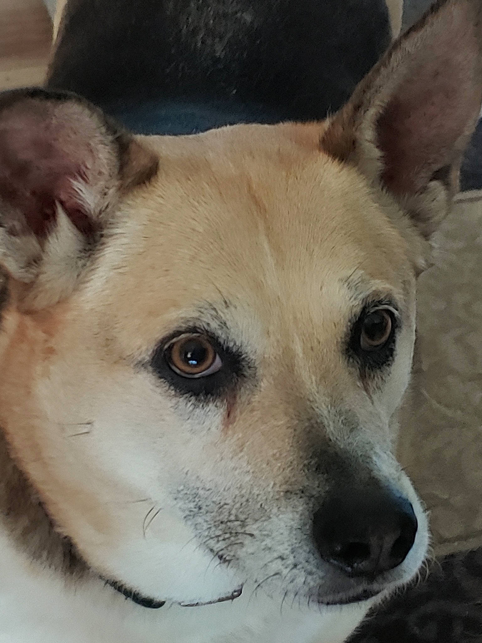 Lily is registered to the contest to win money with this photo: