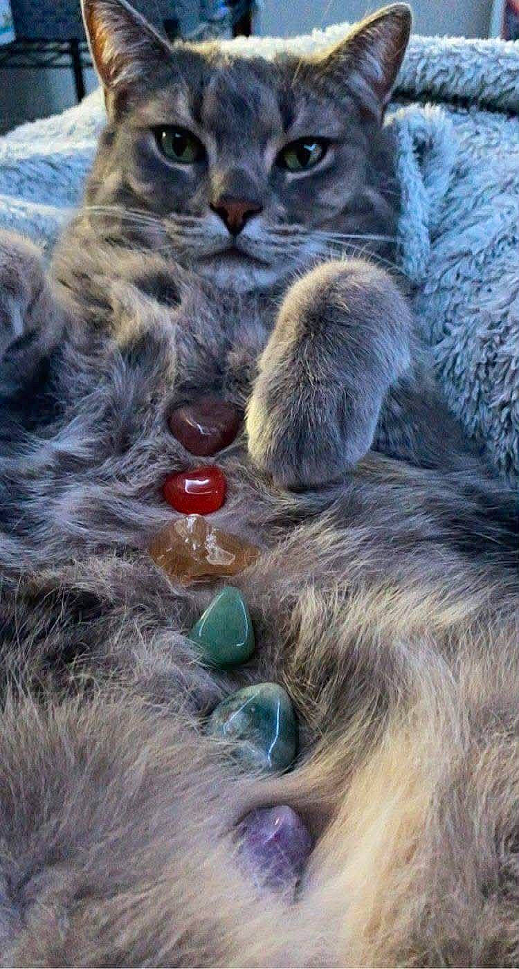 Baebae