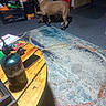Boo is registered to the contest to win money with this photo: brown_dog, canine, coffee_table, dog, dog_booties, furniture, home_decor, indoor, lamp, living_room, person, pet, pink_harness, portrait, rug, shelves, standing, storage, toys, wood_floor