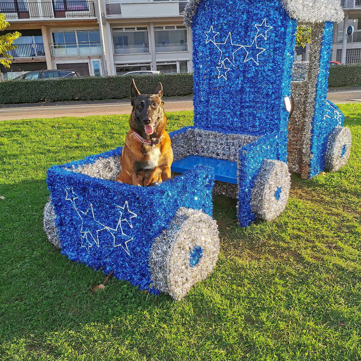 Loola participe au concours pour gagner de l'argent avec cette photo : animal, backyard, bulldog, canine, car, chair, dog, furniture, germanshepherd, grass, lawn, nature, outdoors, park, pet, plant, playarea, transportation, vehicle, yard