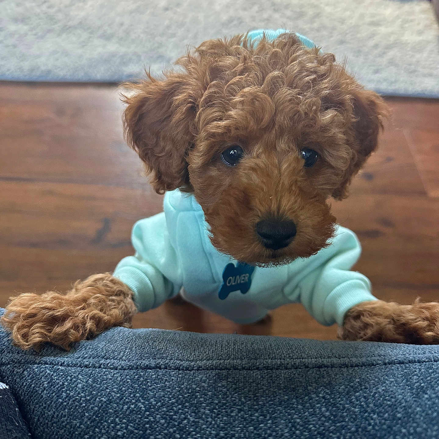 Oliver