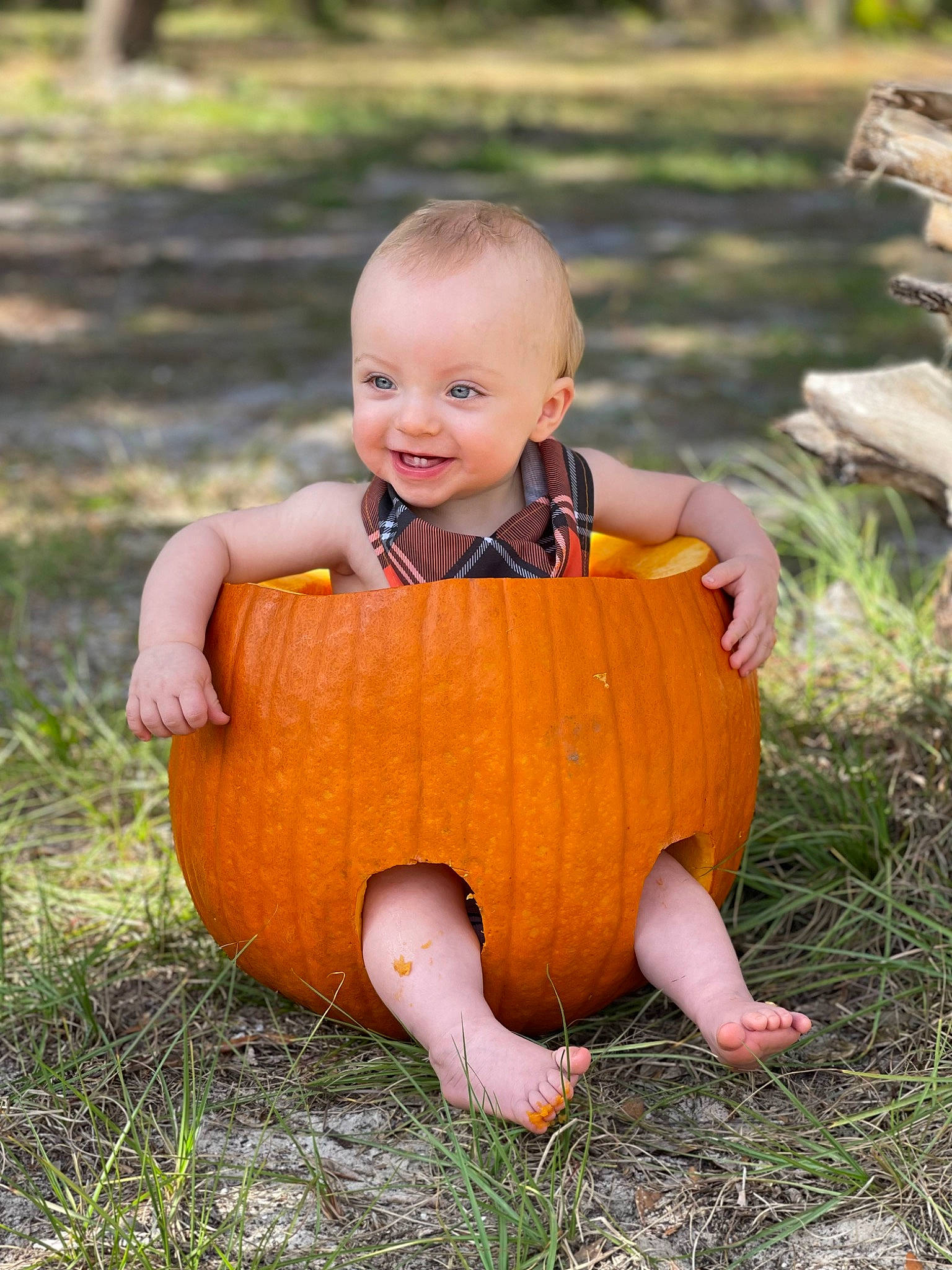 Spencer joined the competition — help win amazing prizes! baby_toddler_clothing, calabaza, cucurbita, dress, eye, face, grass, happy, human_body, joy, leaf, leg, orange, people_in_nature, person, plant, pumpkin, smile, toddler, tree