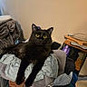 Kairi joined the competition — help win amazing prizes! black_cat, blanket, cat_ears, cozy, domestic_cat, folded_clothes, fur, furniture, home, household_items, indoor, looking_at_camera, pet, pile_of_clothes, relaxed, resting, table, towel, whiskers, yellow_eyes