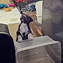 Little Girl is registered to the contest to win money with this photo: animal, black_and_white_fur, bucket, container, curious, dog, dog_food, floor, household, indoor, messy, pet, pet_cage, pet_care, pet_toys, plastic_bin, play_area, puppy, white_paws, young_dog