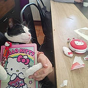Filou participe au concours pour gagner de l'argent avec cette photo : cat, black_and_white_cat, animal, pet, face, whiskers, paws, sitting, table, chair, indoor, home, kitchen, dining_area, hello_kitty, coloring_book, lunchbox, human_hand, tissues, cute