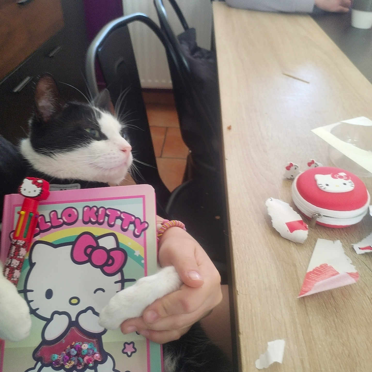 Filou participe au concours pour gagner de l'argent avec cette photo : cat, black_and_white_cat, animal, pet, face, whiskers, paws, sitting, table, chair, indoor, home, kitchen, dining_area, hello_kitty, coloring_book, lunchbox, human_hand, tissues, cute