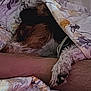 dog, blanket, paw, arm, bed, resting, floral_pattern, snuggling, comfort, indoor, fur, collar, human, relaxation, sleeping, cozy, soft_light, animal, pet, cuddling