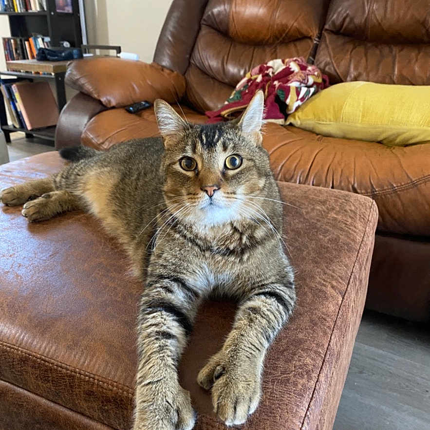 Max