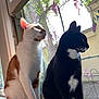 cat, orange_cat, black_cat, window, windowsill, sunlight, flowers, screen, indoor, pets, animal, sitting, side_by_side, looking_outside, whiskers, fur, daylight, nature, relaxing, cozy