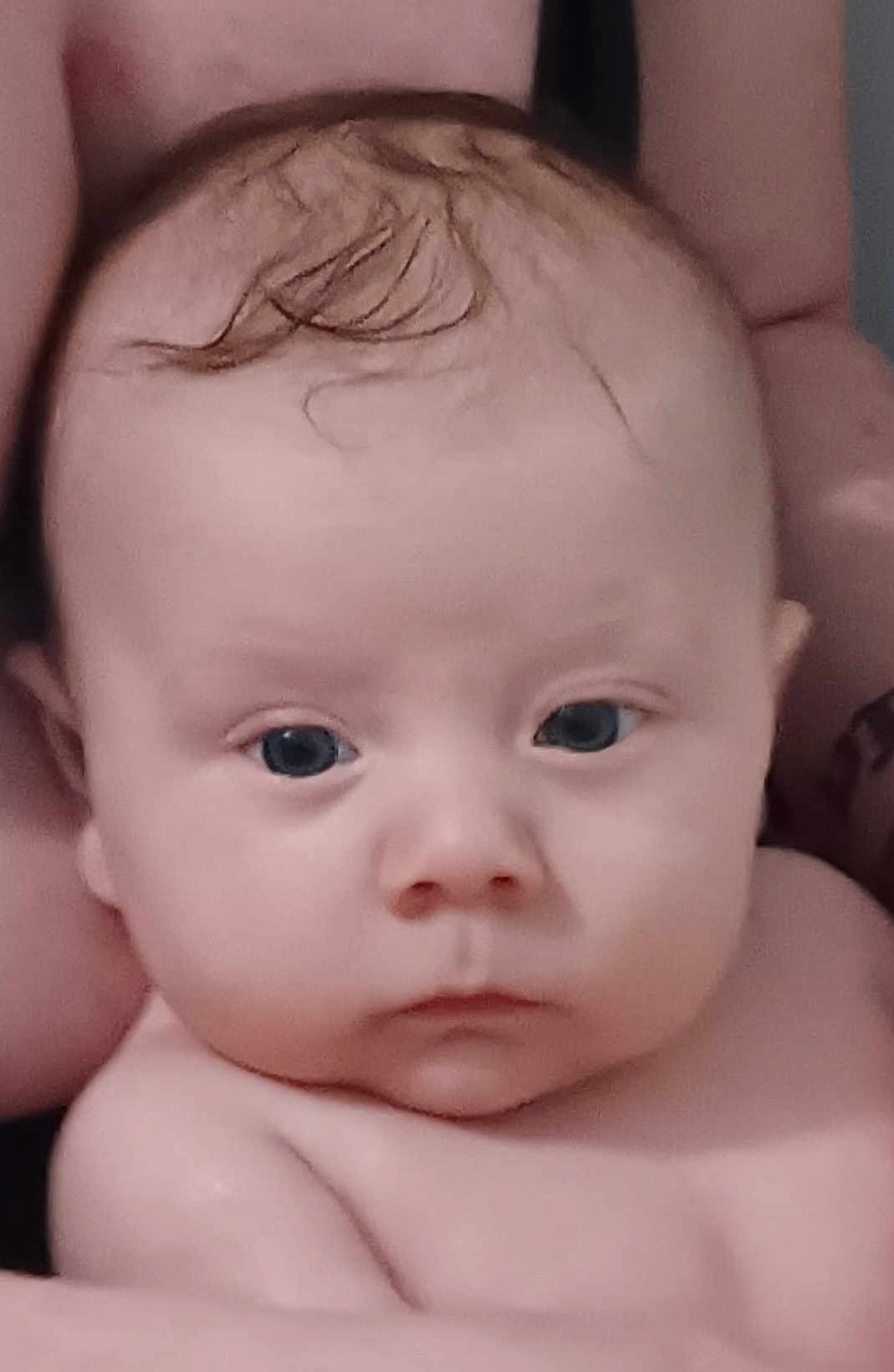 Remington joined the competition — help win amazing prizes! baby, infant, face, skin, hair, closeup, child, person, portrait, expressionless, newborn, human, cute, small, head, eyes, arms, holding, indoors, soft