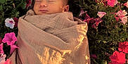Hamza is registered to the contest to win money with this photo: newborn, baby, wrapped, blanket, flowers, pink_flowers, red_flowers, white_flowers, green_leaves, sleeping, peaceful, outdoor, nature, sunlight, shadow, portrait, closeup, flora, soft_texture, serene