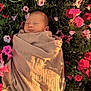 newborn, baby, wrapped, blanket, flowers, pink_flowers, red_flowers, white_flowers, green_leaves, sleeping, peaceful, outdoor, nature, sunlight, shadow, portrait, closeup, flora, soft_texture, serene