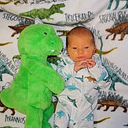 Hamza is registered to the contest to win money with this photo: baby, dinosaur, plush_toy, blanket, pajamas, infant, cute, soft_toy, child, sleepwear, pattern, animal_print, lying_down, indoors, young_child, cozy, resting, small_baby, nursery, comfort