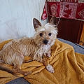 Lucie G.
