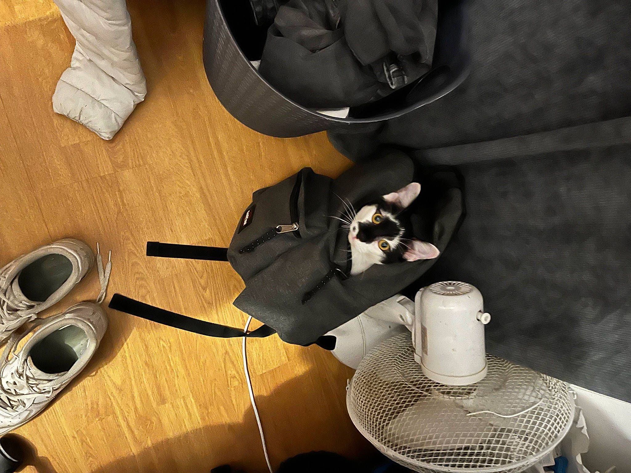 Hades a rejoint le concours — aidez-le/la à gagner de superbes lots ! audio_equipment, auto_part, bag, cable, carmine, cup, drinkware, electrical_wiring, eyewear, fashion_accessory, flooring, gadget, hardwood, luggage_and_bags, machine, personal_protective_equipment, serveware, tableware, wire, wood