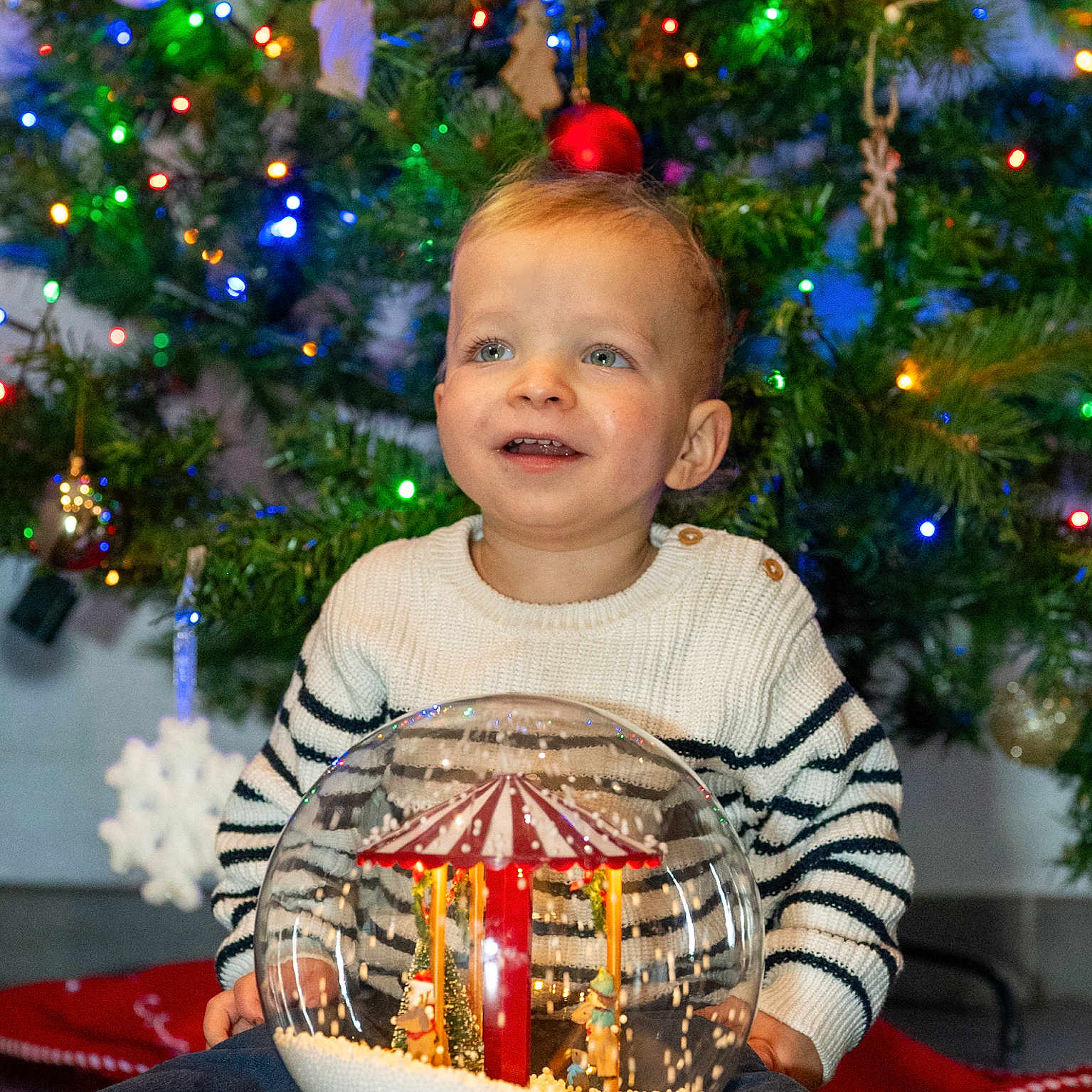 Mylo a rejoint le concours — aidez-le/la à gagner de superbes lots ! child, toddler, christmas_tree, holiday, snow_globe, decorations, lights, festive, smile, sweater, striped_clothing, indoors, toy, happy, seasonal, celebration, face, person, joy, winter
