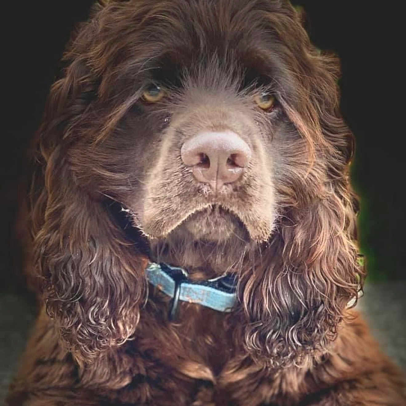 Cooper