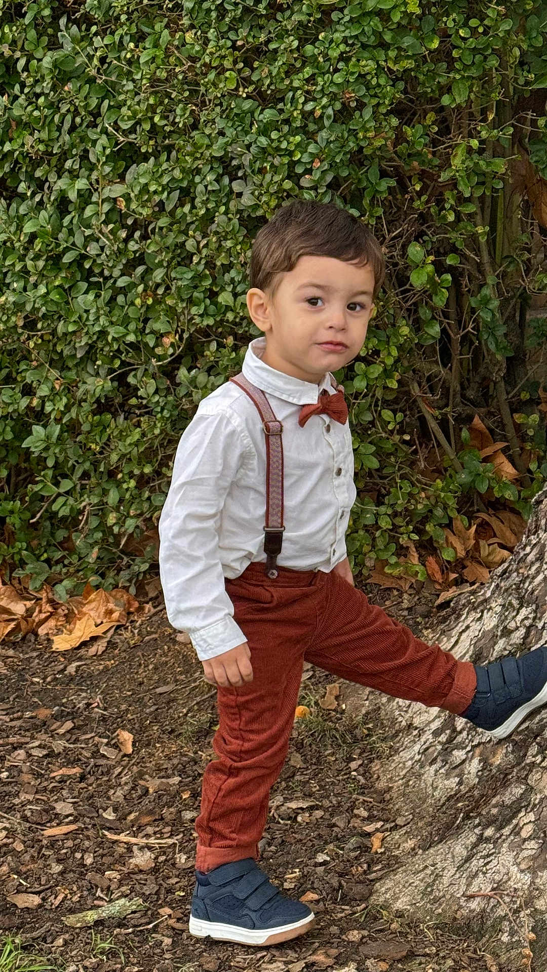 Jose Antonio joined the competition — help win amazing prizes! child, boy, outdoor, nature, tree, leaves, greenery, pants, shirt, suspenders, bowtie, shoes, footwear, standing, pose, curious, casual, fall, ground, young