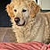 Pixel