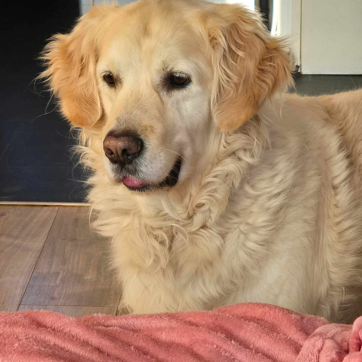 Pixel