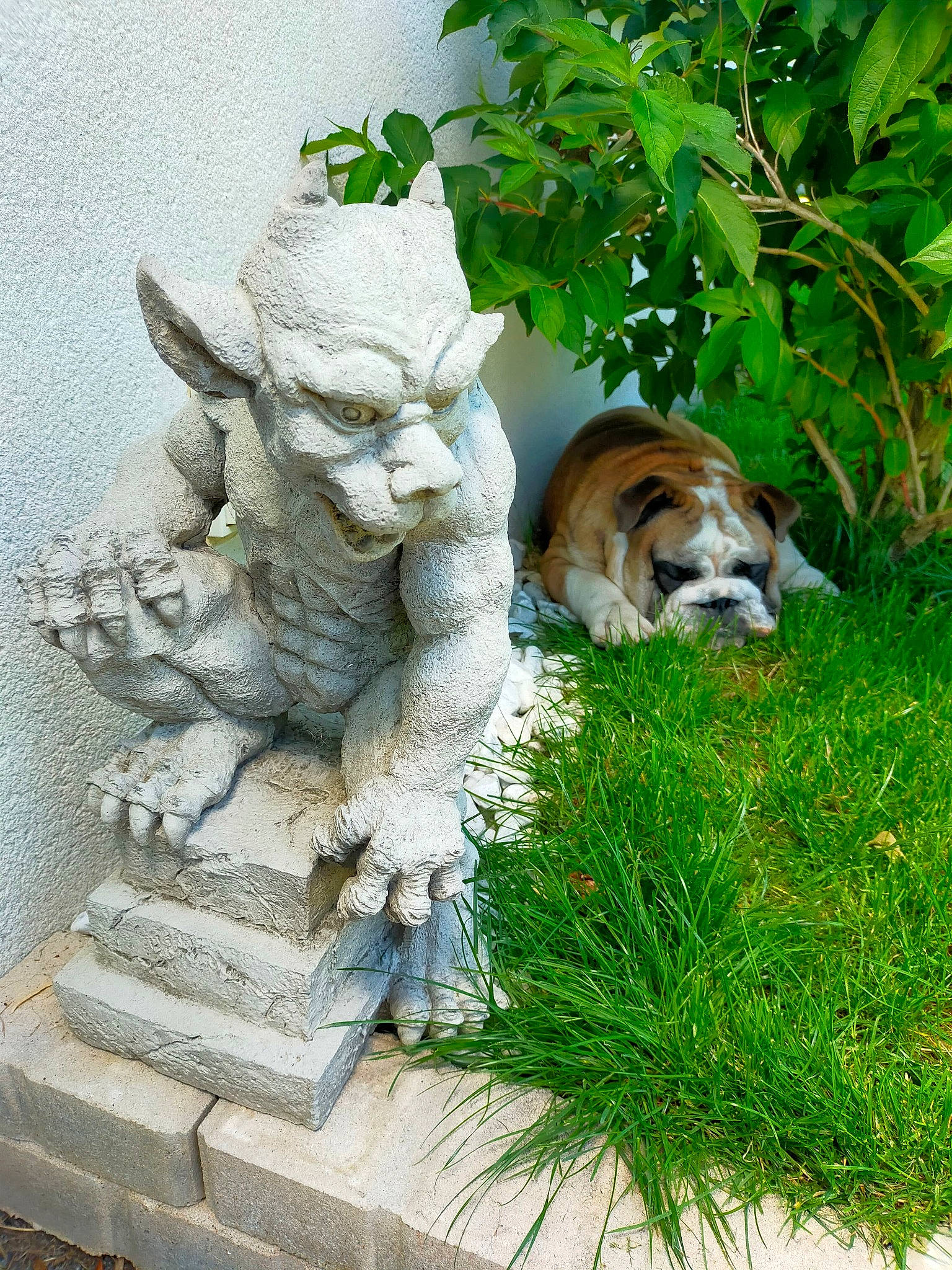 Sparrow a rejoint le concours — aidez-le/la à gagner de superbes lots ! art, carnivore, companion_dog, dog, dog_breed, fawn, felidae, garden, grass, groundcover, landscaping, lawn_ornament, plant, rock, sculpture, shrub, statue, tail, wood, working_animal