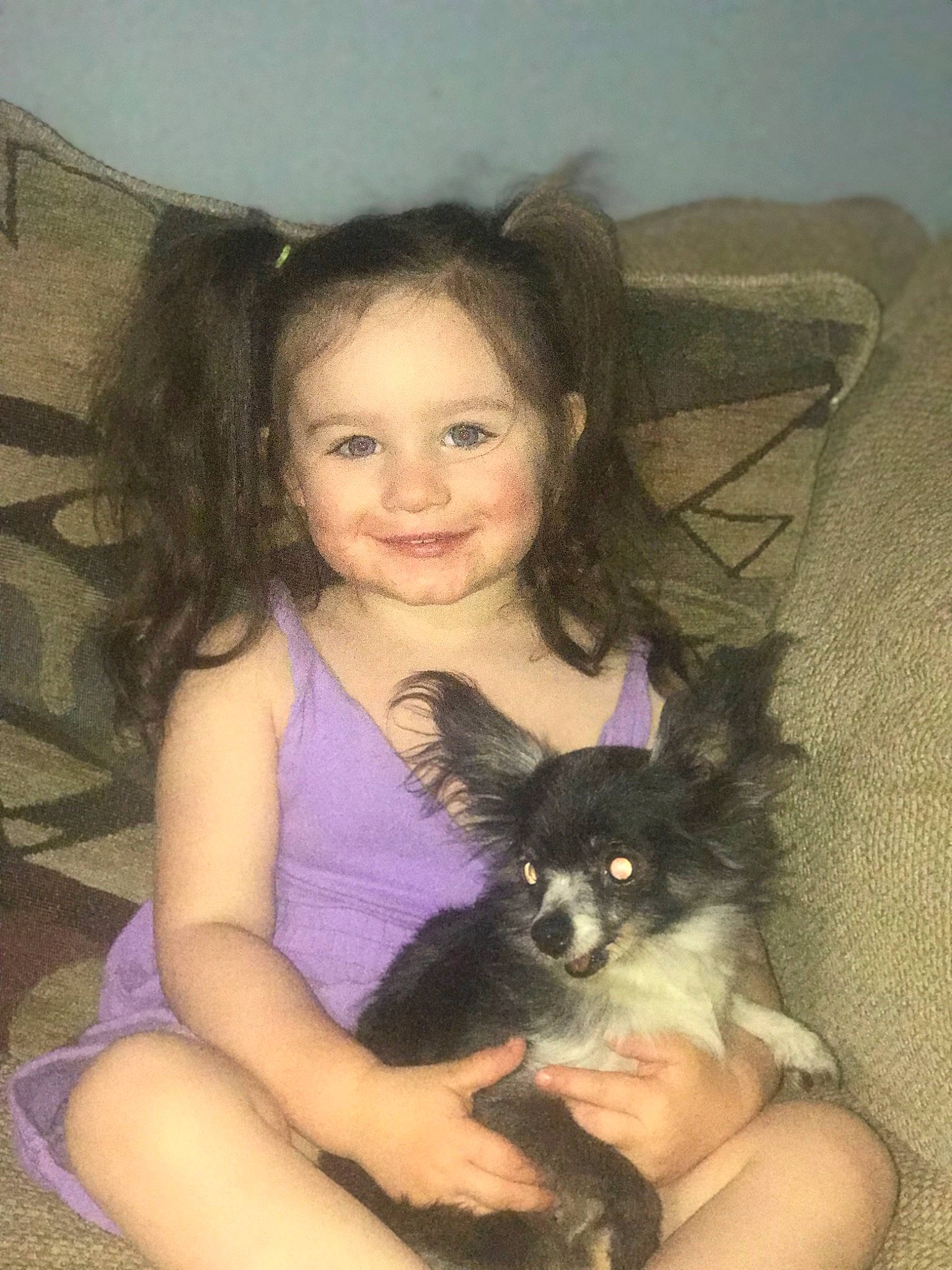 Remmi joined the competition — help win amazing prizes! beauty, black_hair, carnivore, comfort, companion_dog, dog, dog_breed, eye, fawn, hand, happy, iris, joy, leg, long_hair, organ, person, purple, skin, smile