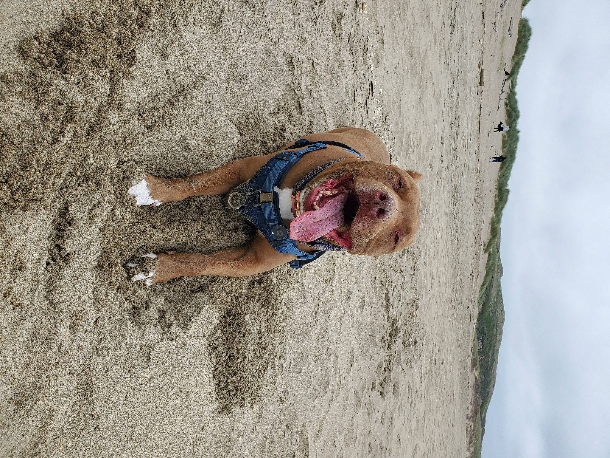 Hercules is registered to the contest to win money with this photo: adventure, beach, child, coast, elbow, foot, fun, human_leg, landscape, leisure, outdoor_recreation, people_in_nature, recreation, sand, sky, soil, sport_climbing, wave, wind_wave, wood