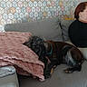 woman, dog, couch, blanket, indoor, relaxing, patterned_wallpaper, glasses, casual_clothing, pet, furniture, resting, brown_dog, pink_blanket, grey_couch, short_hair, home_interior, side_view, comfort, leisure
