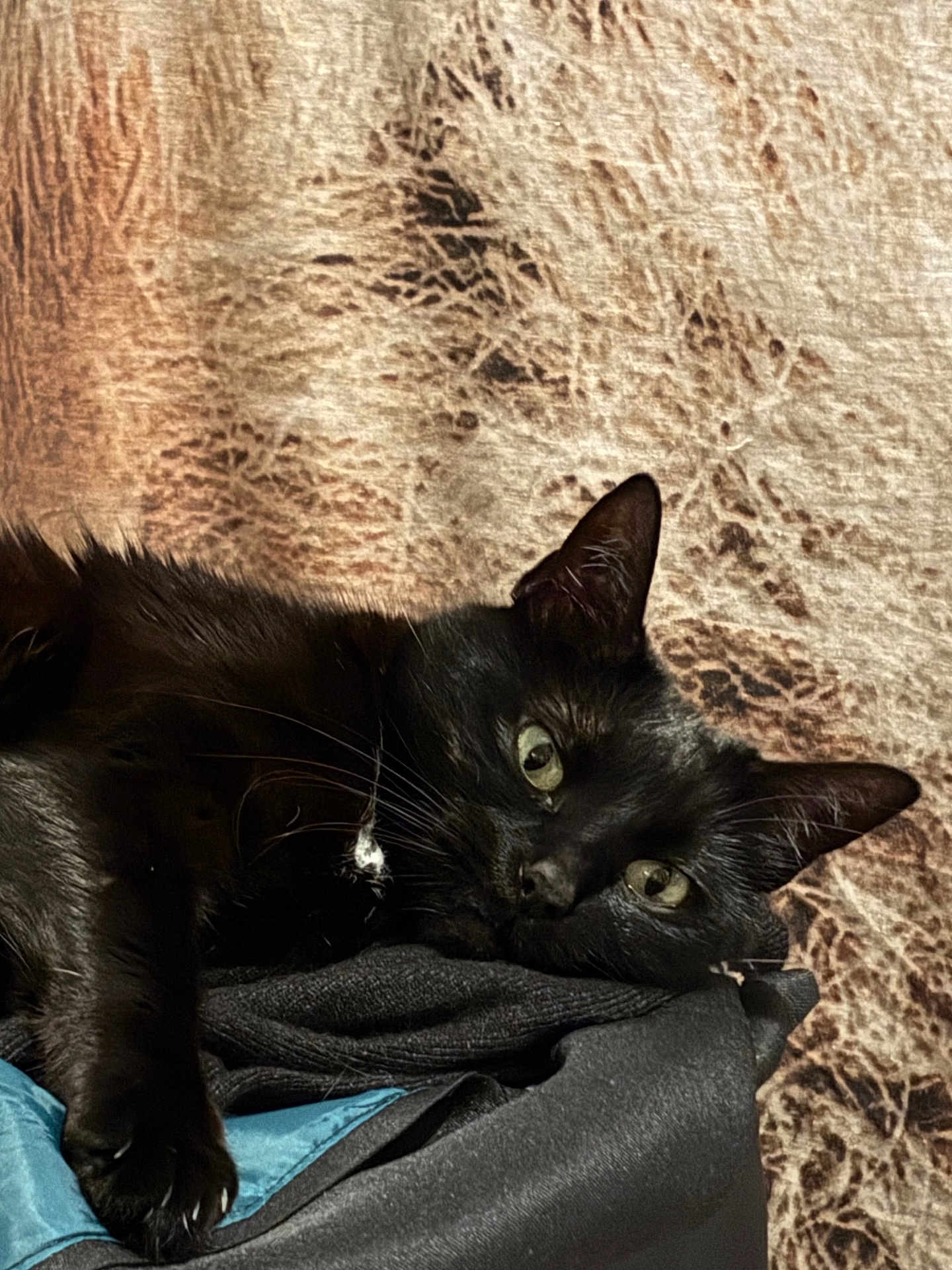 Luna