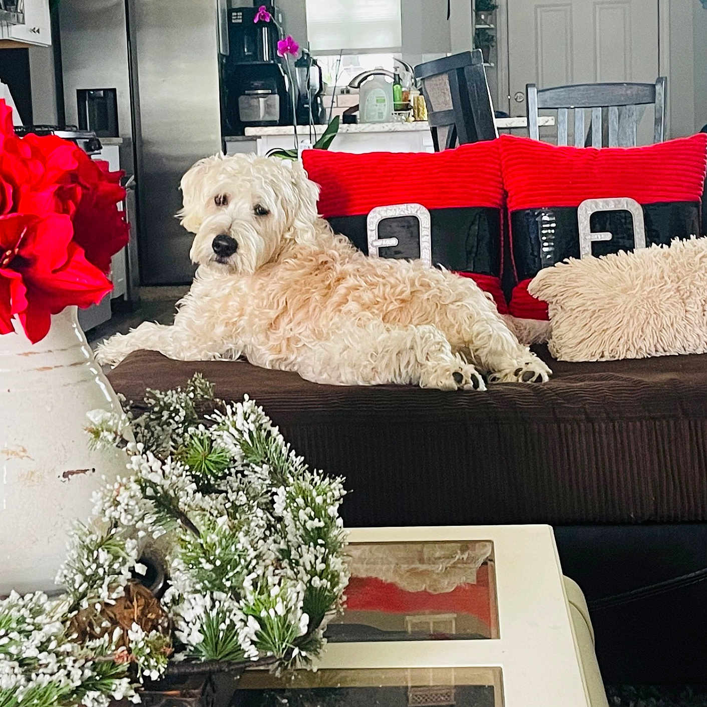 Finn