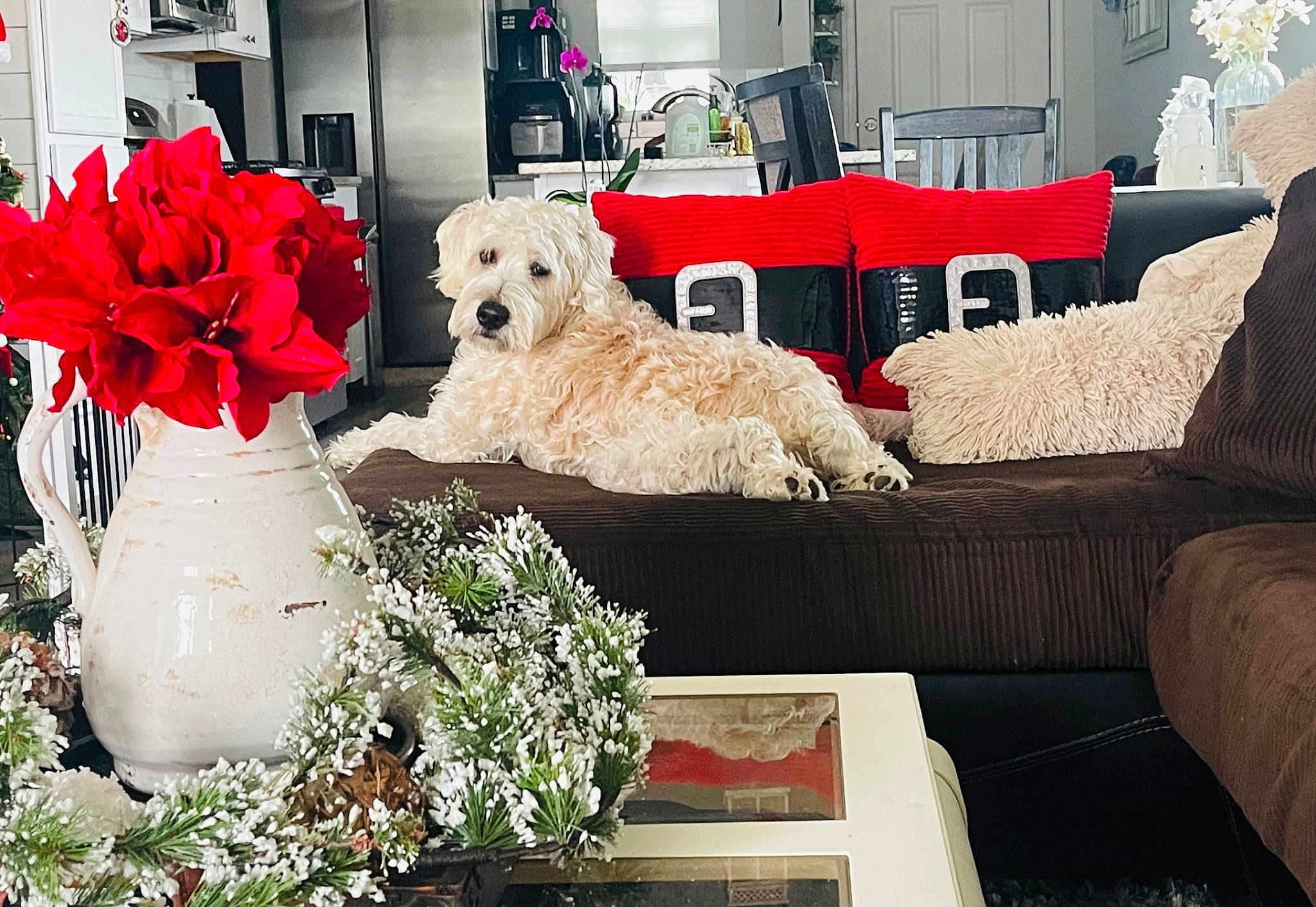 Finn
