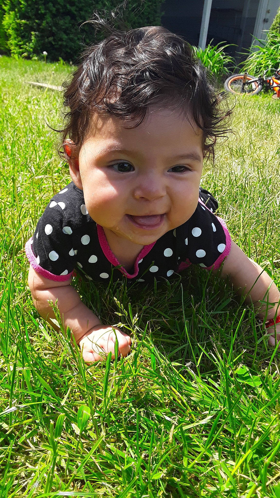 Maribel joined the competition — help win amazing prizes! baby, child, design, garden, grass, grass_family, happy, joy, lawn, leaf, meadow, pattern, person, plant, play, skin, smile, spring, summer, toddler